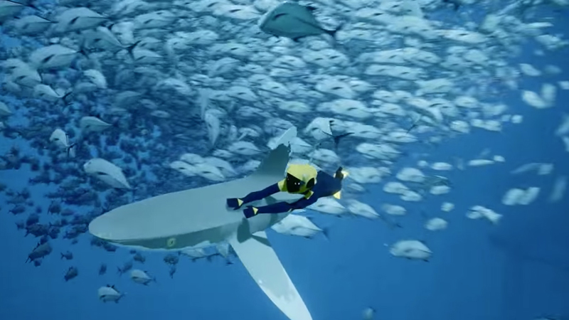 Illustration for article titled The Beautiful Exploration Game Abzu Flew Under The Radar At E3